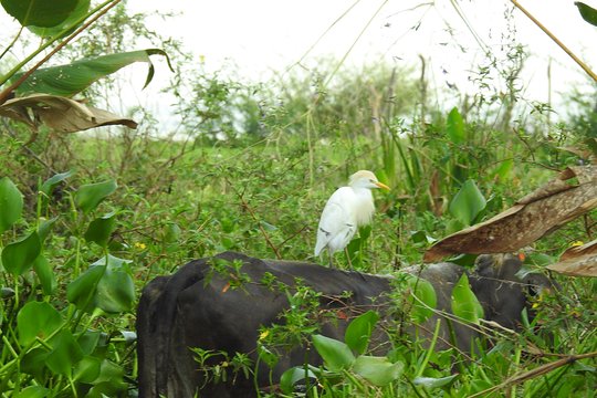 Tour image 4