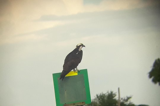 Tour image 4