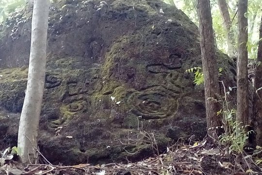 Tour image 2