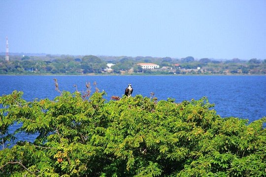 Tour image 5