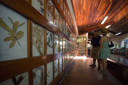 Tour image 4