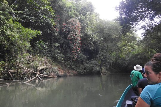 Tour image 6
